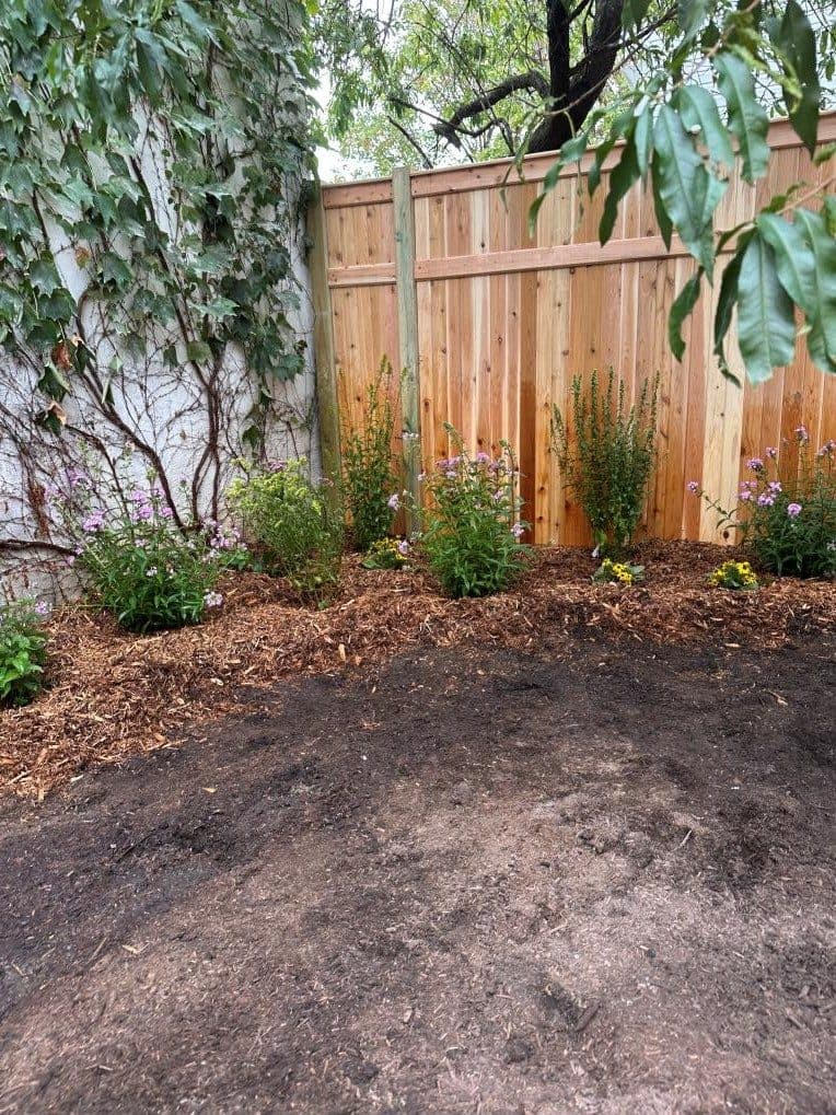 Brooklyn backyard with new cedar fence and native plantings, installed by Rooted