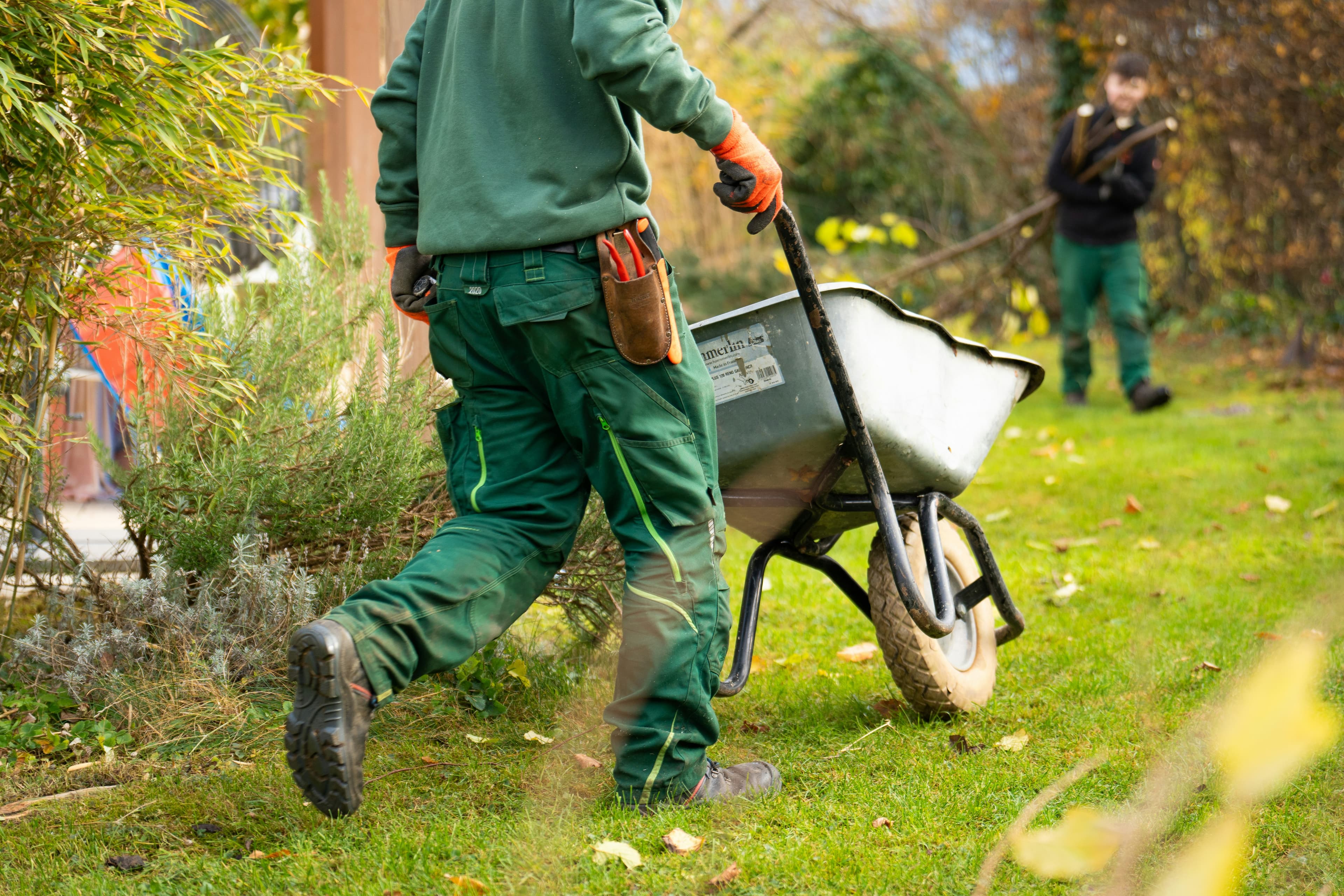 Landscaper with wheelbarrow during fall yard cleanup
