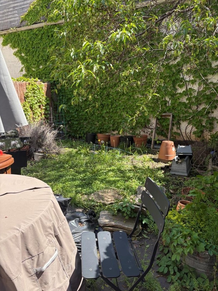 Brooklyn backyard before Rooted renovation